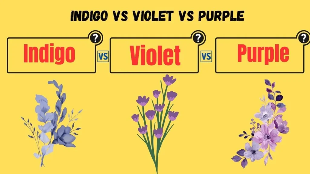 Indigo vs Violet vs Purple